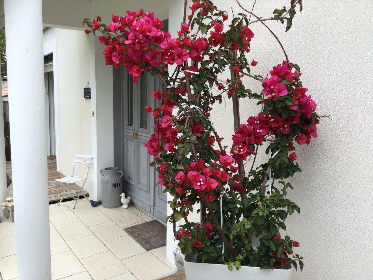 Cosy Chic Homestay